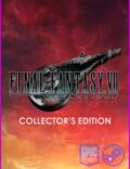 Final Fantasy VII Rebirth: Collector’s Edition-EMPRESS